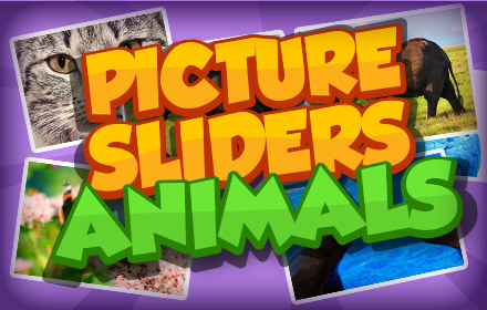 picture slider animals